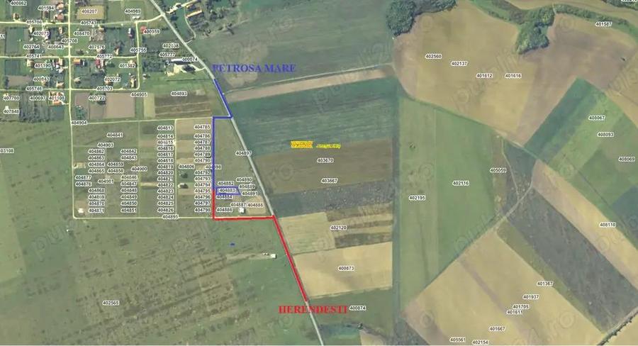 CASA NOUA la 10 km de Lugoj - 3