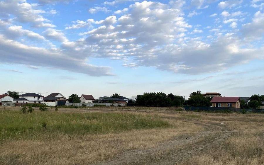 Tamasi, langa padure, 12.824 mp, deschidere 45 ml, teren ... - 6