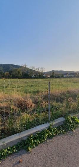 5200 sau 2600 mp teren vanzare,direct proprietar, parcelabil, apropiere Arinis - 3