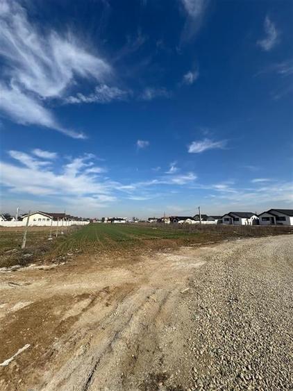 RECO teren de vanzare in Santandrei - 3