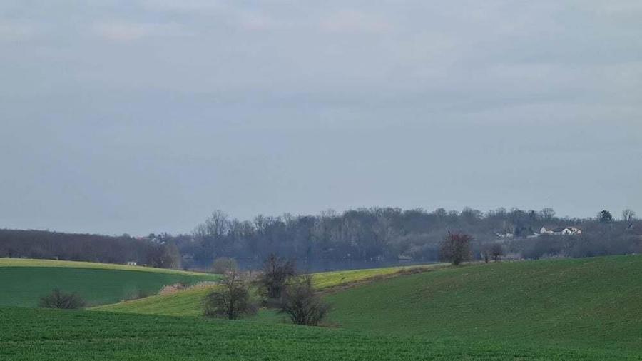 Lot 1000 mp in umbra padurii cu view la lacul academiei din Caciulati - 5
