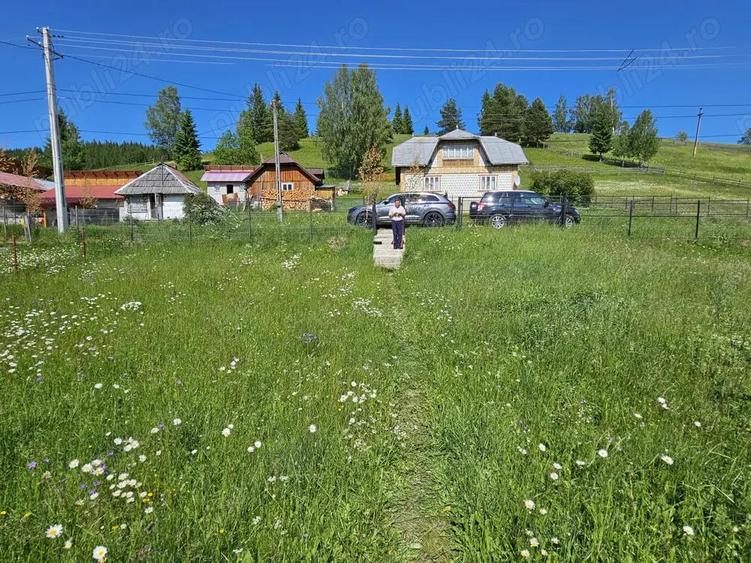 De vanzare Teren intravilan cu casa si anexe in Bucovina Moldova Sulita - 8