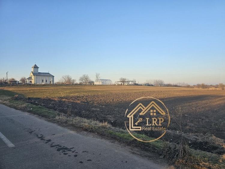 Dascalu-Creata-teren intravilan, str.Oituz, stradal, parcelabil - 4