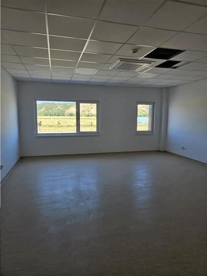 Spatiu Industrial - 5000 mp - Logistica - Productie - Depozitare - Distributie - 18