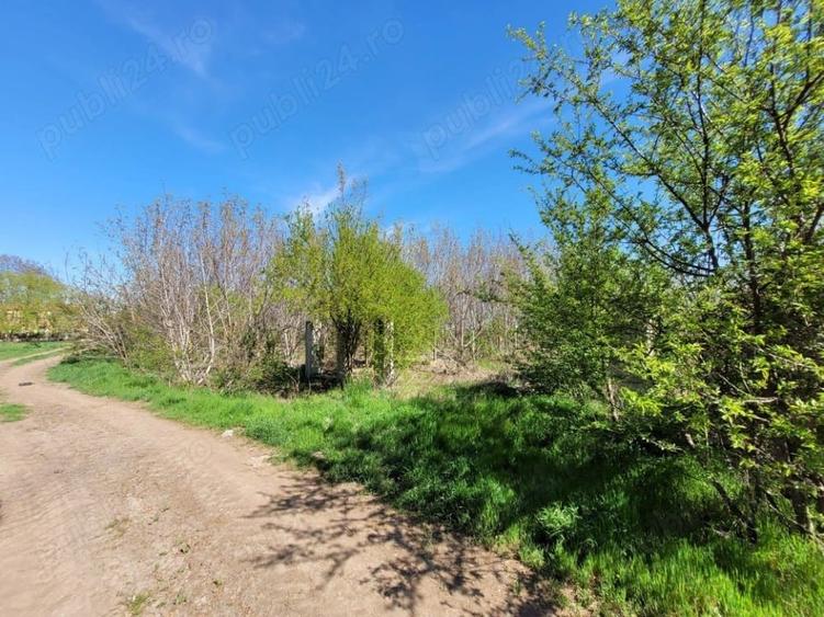 TEREN INTRAVILAN POSTAVARI, FRUMUSANI - 1