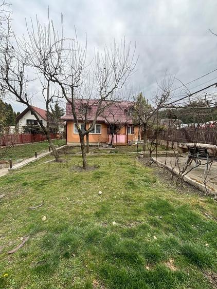 Casa veche 80 mp, teren 600 mp, zona LIDL Buna Ziua - 2