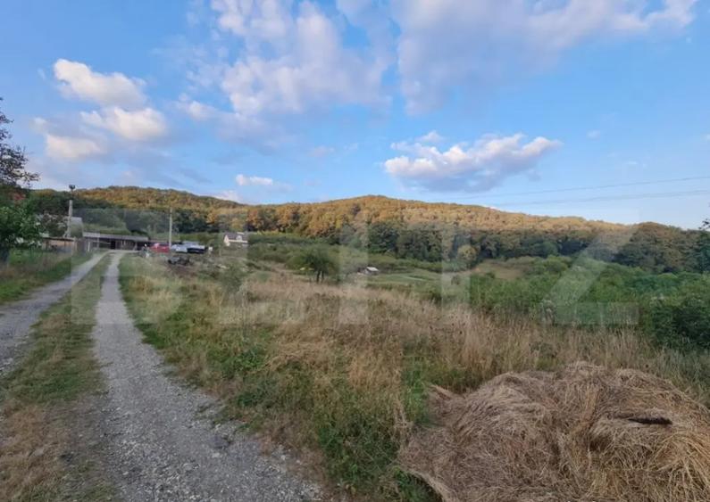Teren extravilan, 10000 mp, zona Valea Rusului - 2
