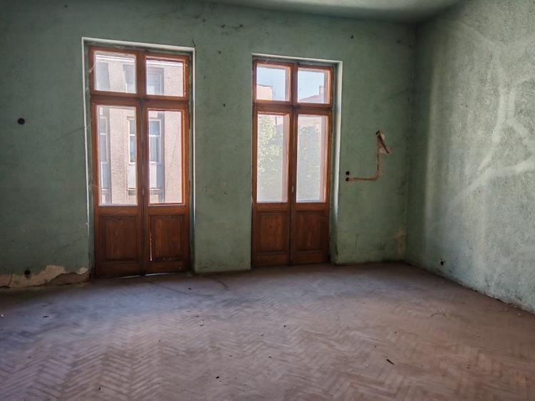 VANZARE CASE VILE GRADINA ICOANEI - 4
