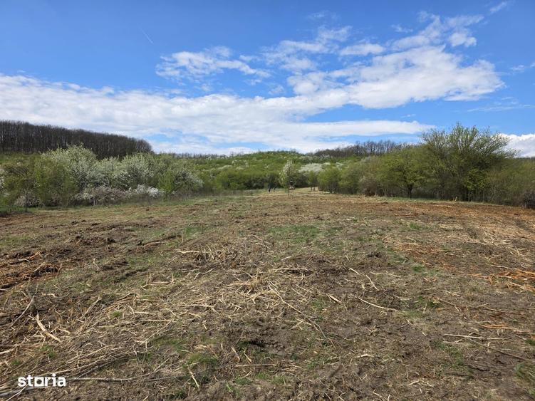 De vanzare teren intravilan Barsau, jud. Hunedoara - 2