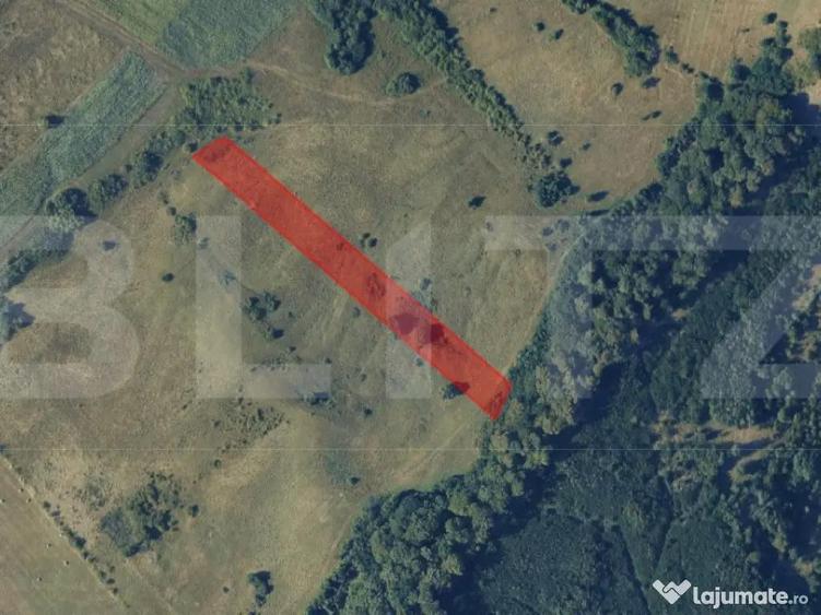 Teren extravilan de vanzare, 56 ari, zona Valea Stanelor - 1