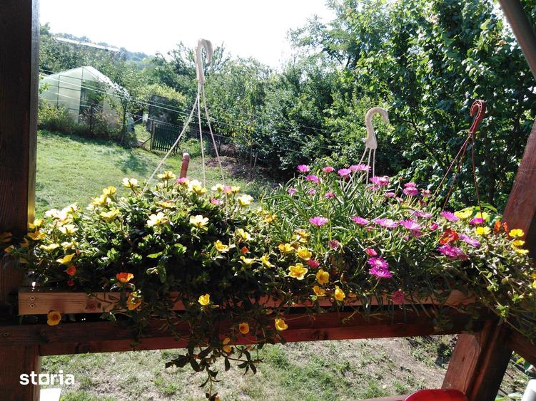 Vila cocheta Valter Maracineanu 87.000 euro - 6