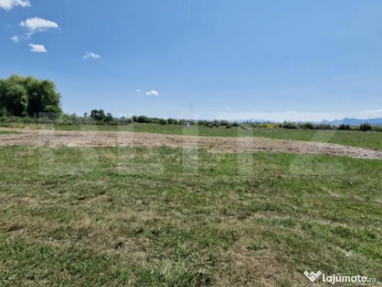 Teren 6300mp-Oportunitate investitie,zona in dezvoltare - 3