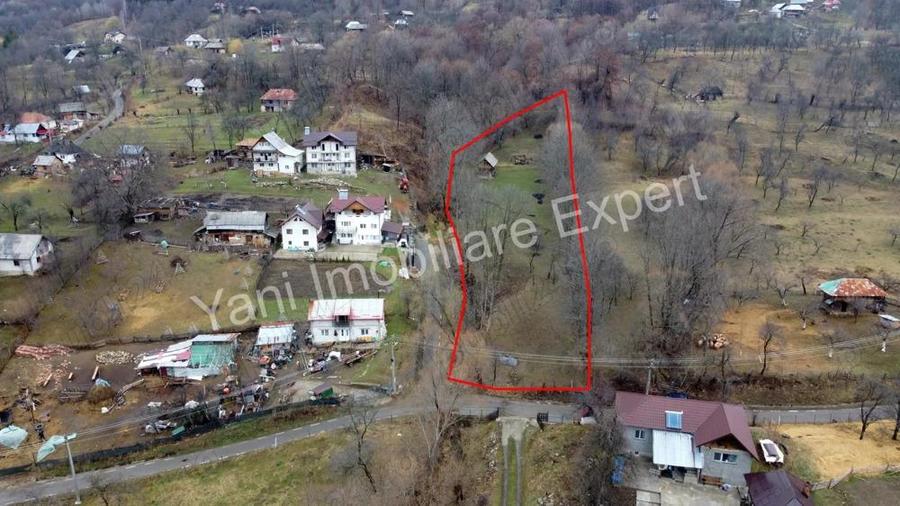 Teren de vanzare in comuna Arefu, jude? Arge?. - 8