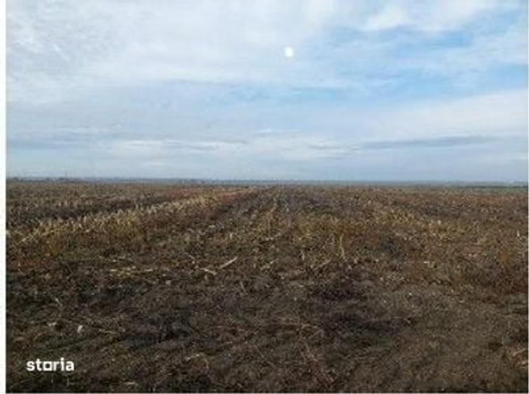 Teren extravilan Lunca Banului, ID: R2944332 - 1