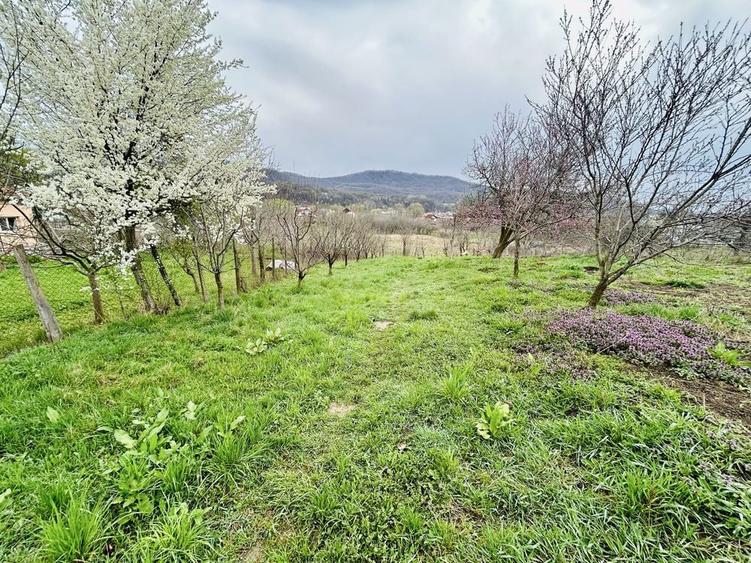 VAND casa cu livada + gradina 1680 teren total - 1