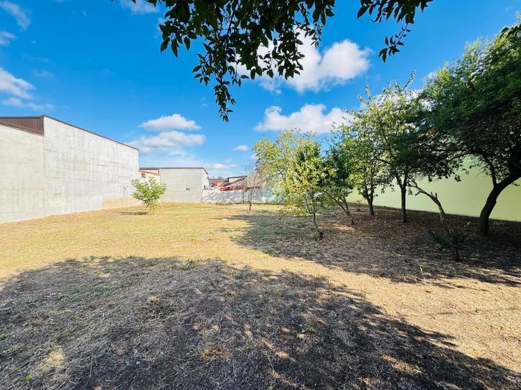 Teren unic 1000mp, Bucurestii Noi I 28m deschidere,aproape de parc si metrou - 2