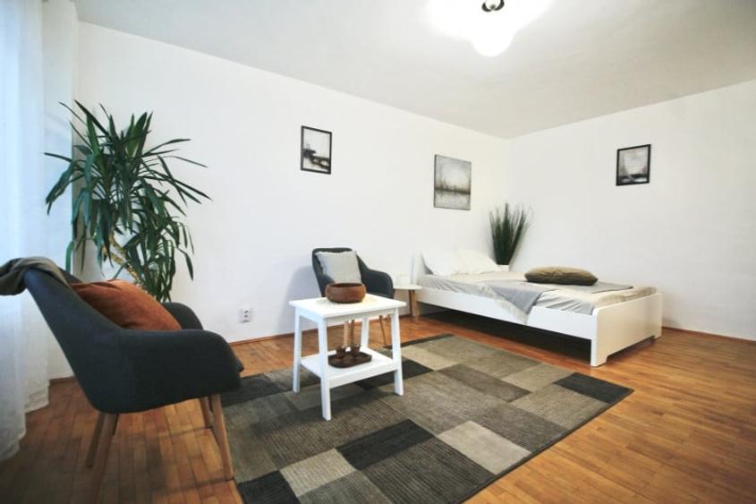 TEUL DOAMNEI-BERECHET, RENOVATA TOTAL, MOBILATA  MODERN, 0% COMISION! - 15