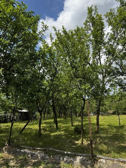 Casa de vanzare in Sanmarghita - 3