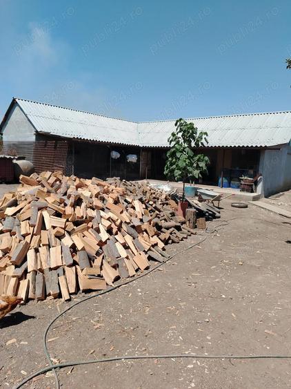 Casa de vanzare in sat LANURILE - 11