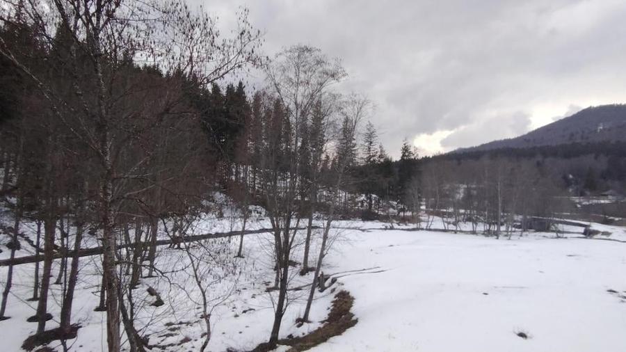 Oportunitate de investiție în stațiunea Cheia - 6