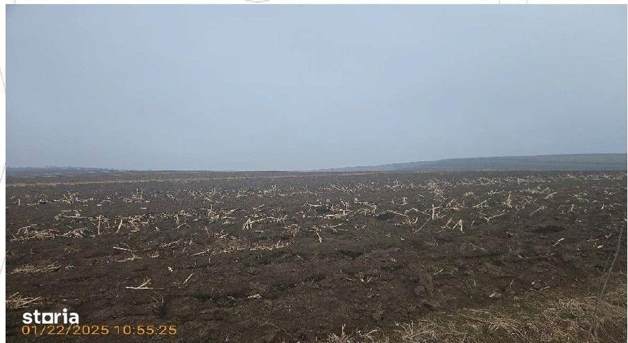 Teren extravilan cota parte 1/4, Calarasi, Botosani, ID: R2924968 - 5