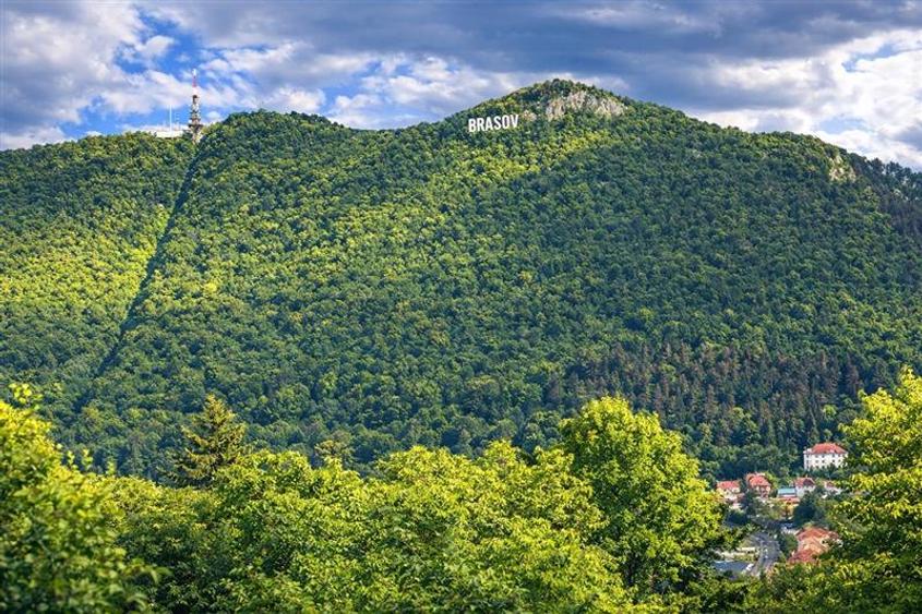 Vila distinctiva,pretabila si pentru 2 familii,  perspectiva panoramica remarcab - 3