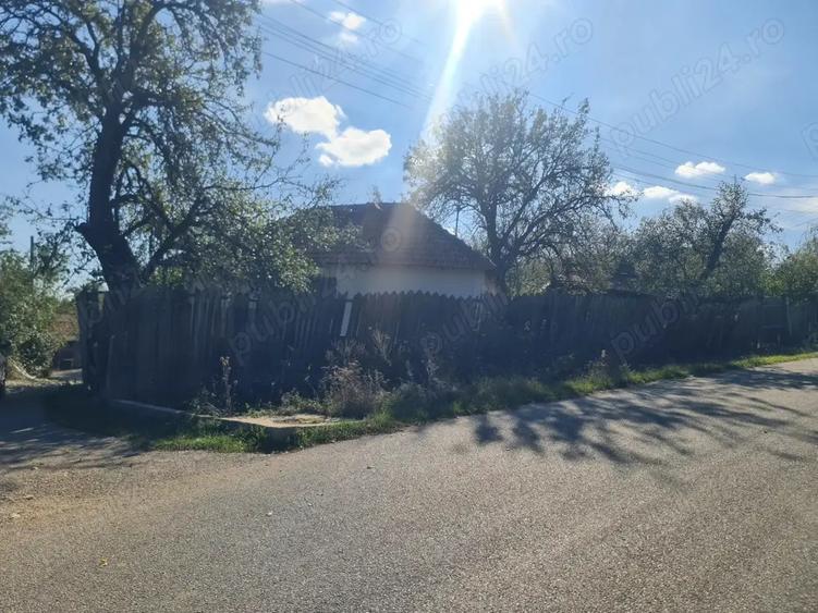 Casa si pamant agricol de vanzare - 7