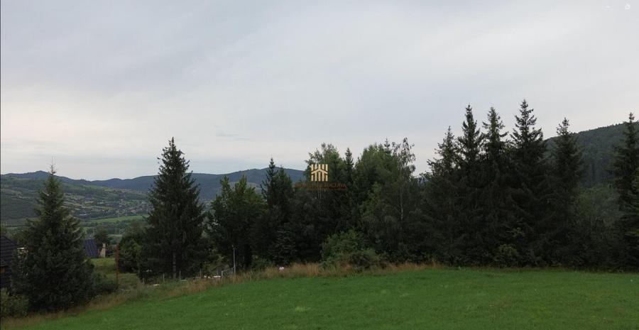 Teren 5023 mp In Bucovina Zona Manastirea Voronet De 07278 - 3