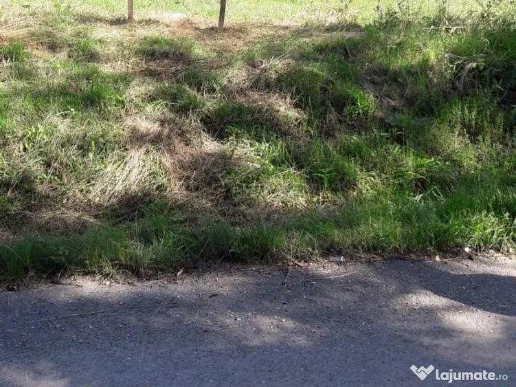 Vand Teren la poalele padurii - ideal casa de vacanta 3.300 mp - 5