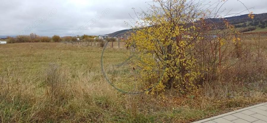 Teren intavilan 5000mp, Unirea zona Aerodrom - 1