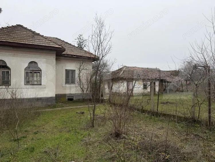 Casa strada principala Caciulatesti, 2714 mp teren, front 104 ml - 7