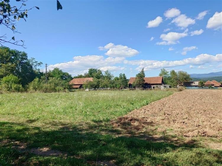 Teren intravilan pentru casa sau vacanta, Lunca, Baia de Cris - 2