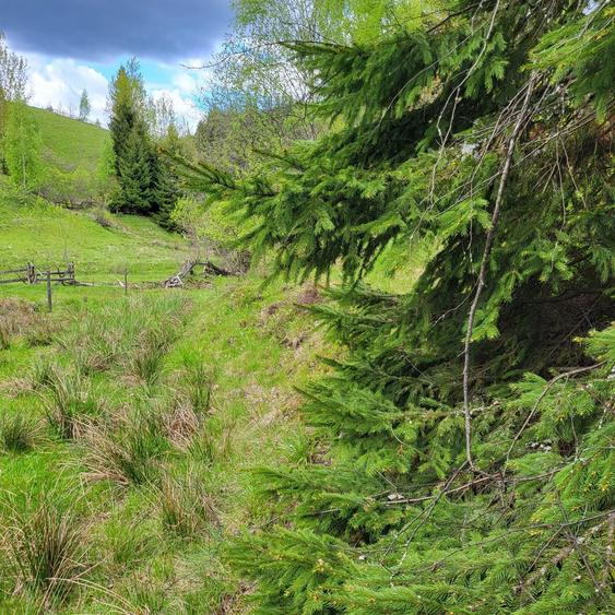 Teren intravilan de cabana la munte - 3