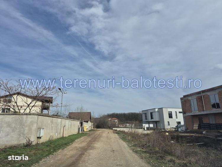 Teren cu gaz si electrica-hotar, 28000 E, padure - 4