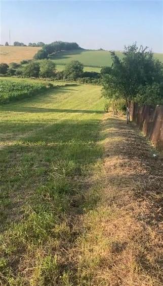 Reco  Teren 5800 mp in Ghenetea | Strada asfaltata recent - 1