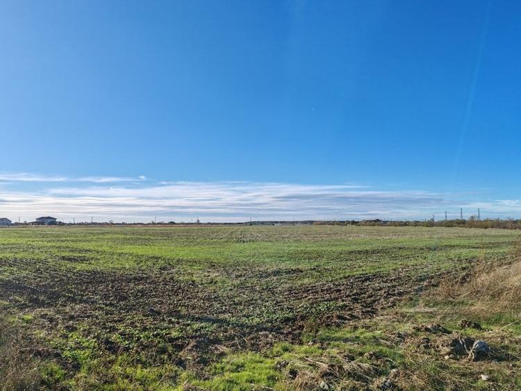 Teren de vanzare in Balotesti - 22.819 mp cu PUZ aprobat. - 3