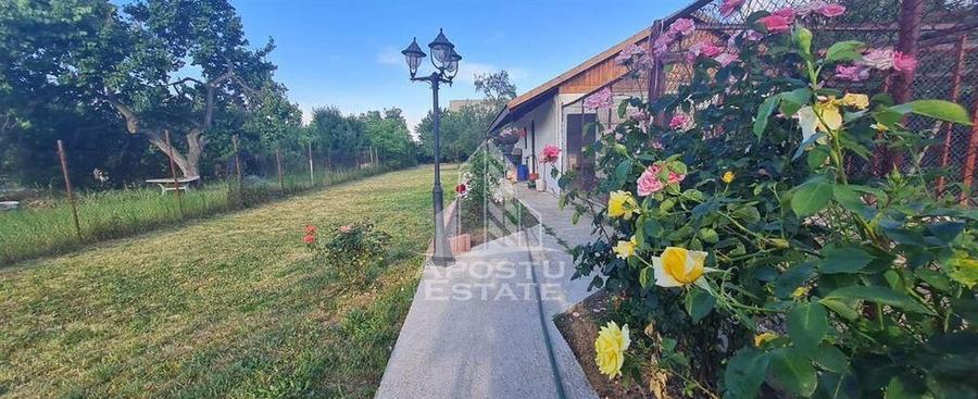 Casa cu teren de 2000 mp, Timisoara - 3