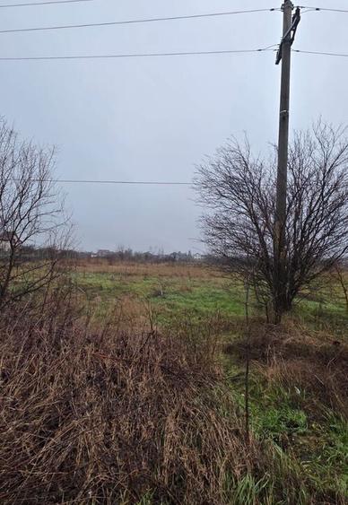 Teren 5000 mp 1 decembrie - strada Oituz - 11