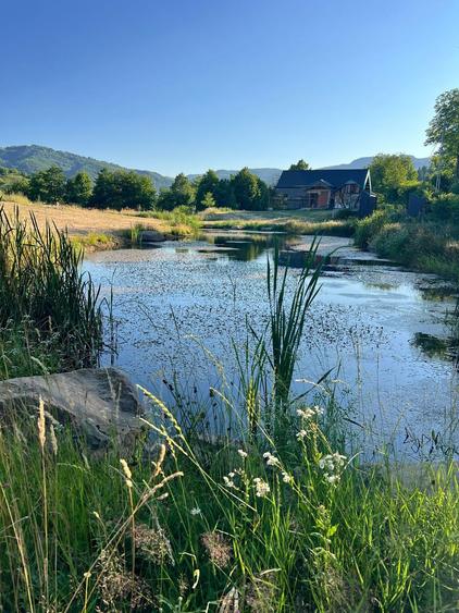 Casa cu teren 10130mp - 8