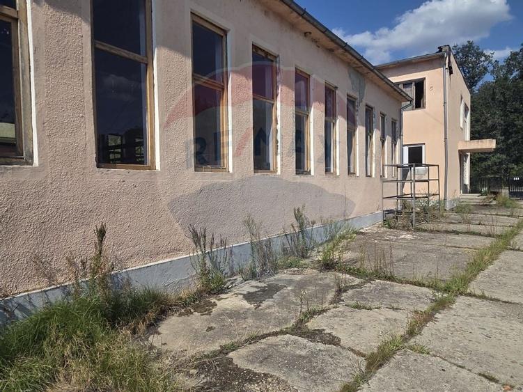 Spațiu industrial 15435 mp. de vânzare in Tinca. - 2