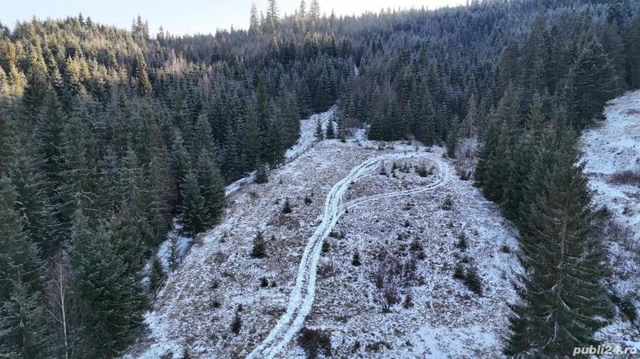 Teren extravilan de vanzare inconjurat de padure in Bucovina zona Breaza - 10