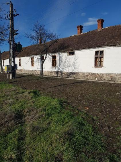 De Vanzare Casa cu teren 20.000 mp ZARANDl - 3