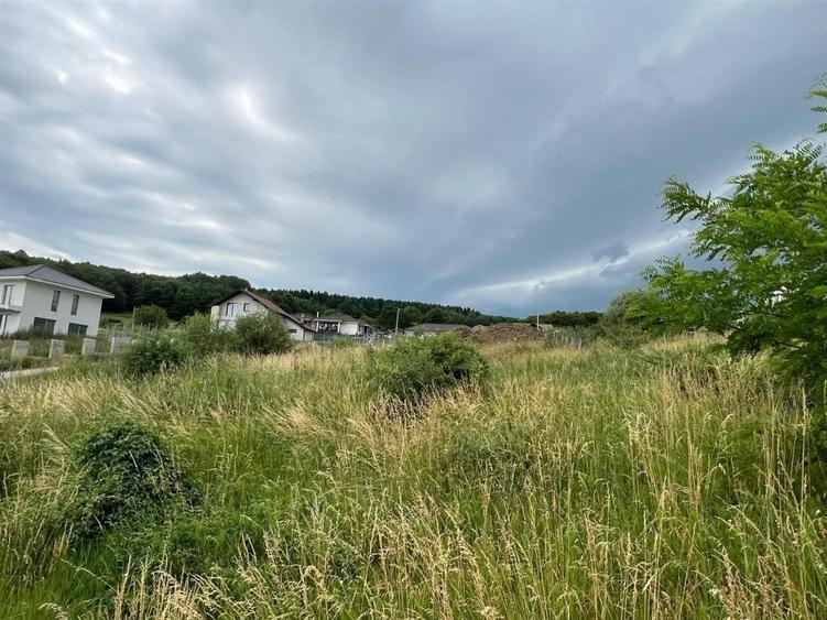 Teren agricol extravilan de 1570 mp, în Est