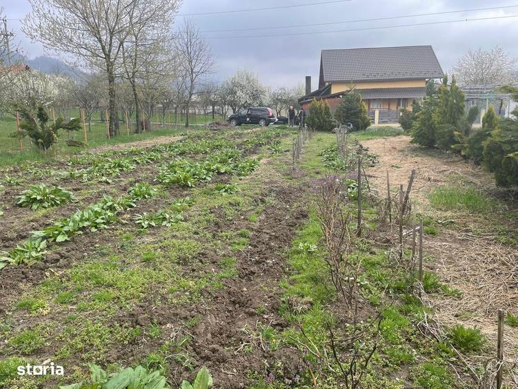 Baia Sprie, la intrare, 6 ari teren - 2