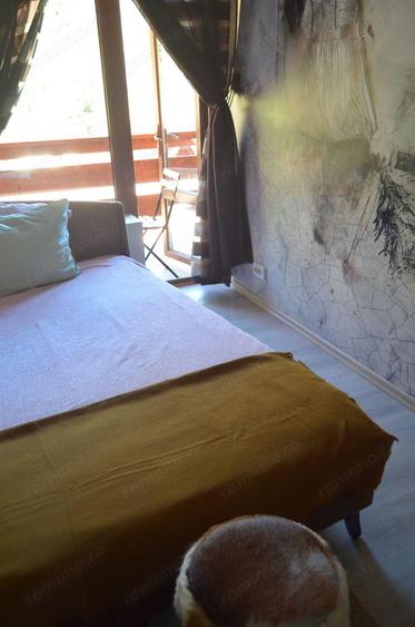 Apartament cu doua camere situat in Busteni - 5