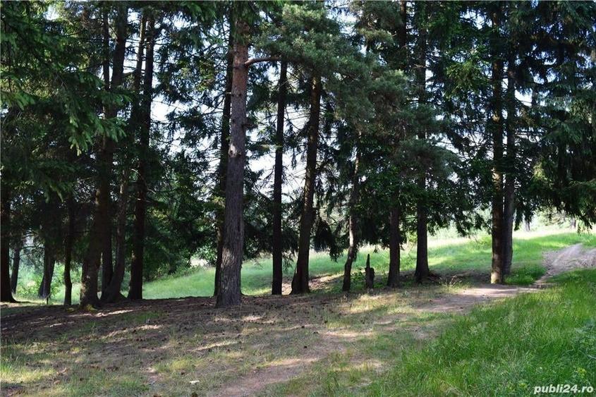 Teren de 575 mp, în Central