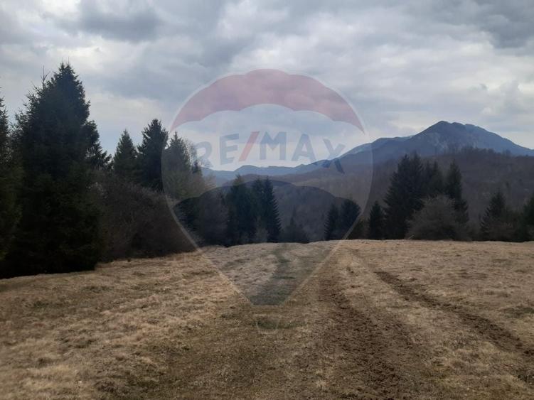 Teren agricol extravilan de 14250 mp, în Nord-Est
