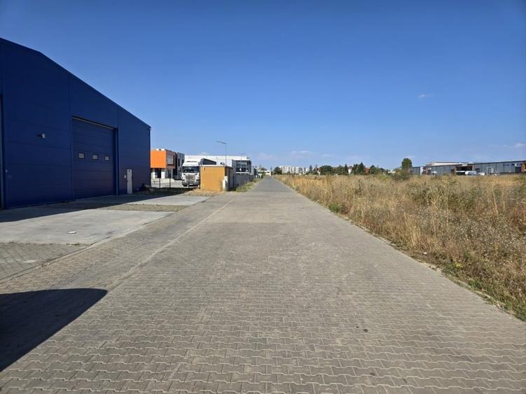 Teren Construcții intravilan de 3970 mp, în Cernica