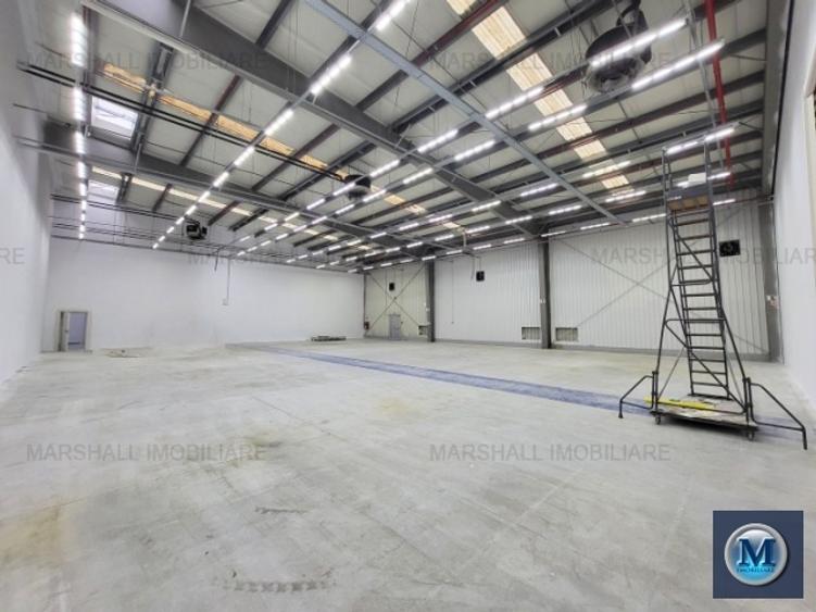 Spatiu industrial de vanzare in Aricestii Rahtivani #16443 - 5