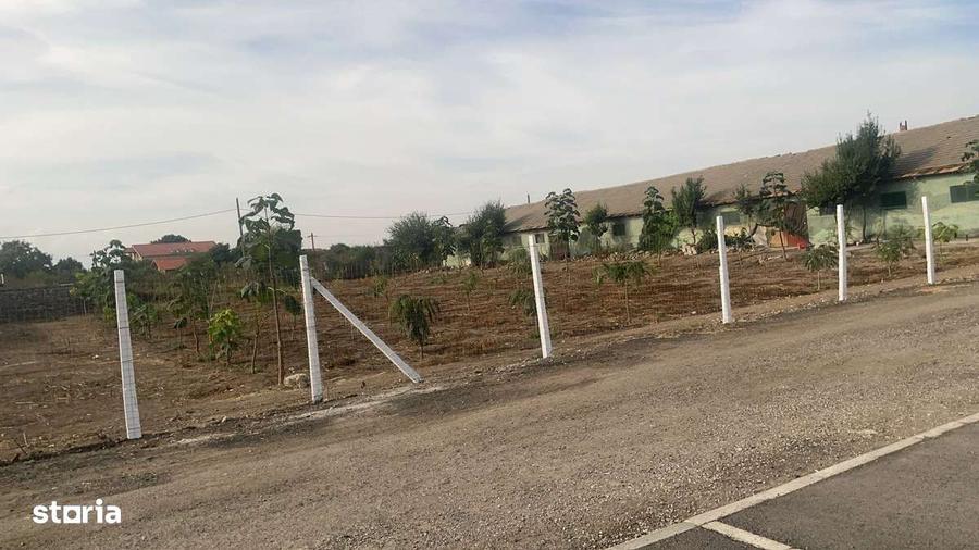 Teren Intravilan De Vanzare 2 Mai (7000 m2) - 4